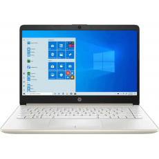 HP 14-DV0066TX (I5, 8GB, 512GB, MX450, WIN10+OHS 2019, 14INCH) [2N1H7PA] GOLD