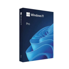 WIN 11 PRO 64BIT ENG INTL 1PK DSP OEI DVD