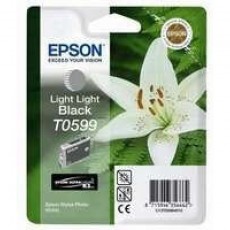 Light Black Ink Cartridge SP R2400 [T0599]