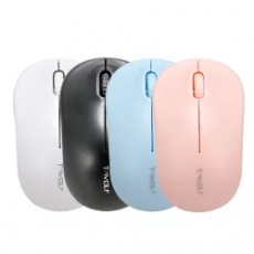 MOUSE WIRELESS TW-268