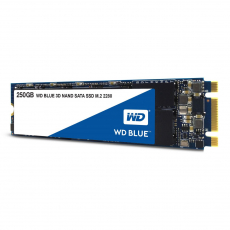 WD SSD BLUE M.2 250 GB [WDS250G2B0B]